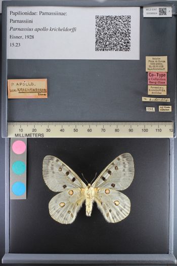 Media type: image;   Entomology 98924